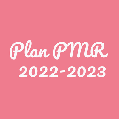 visuel-plan-pmr.png